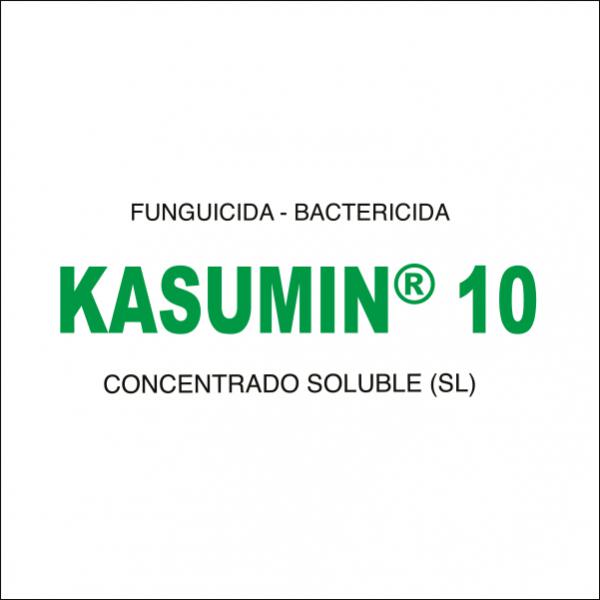 Kasumin 10