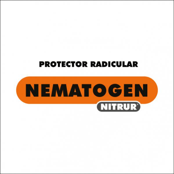 Nitrur Nematogen